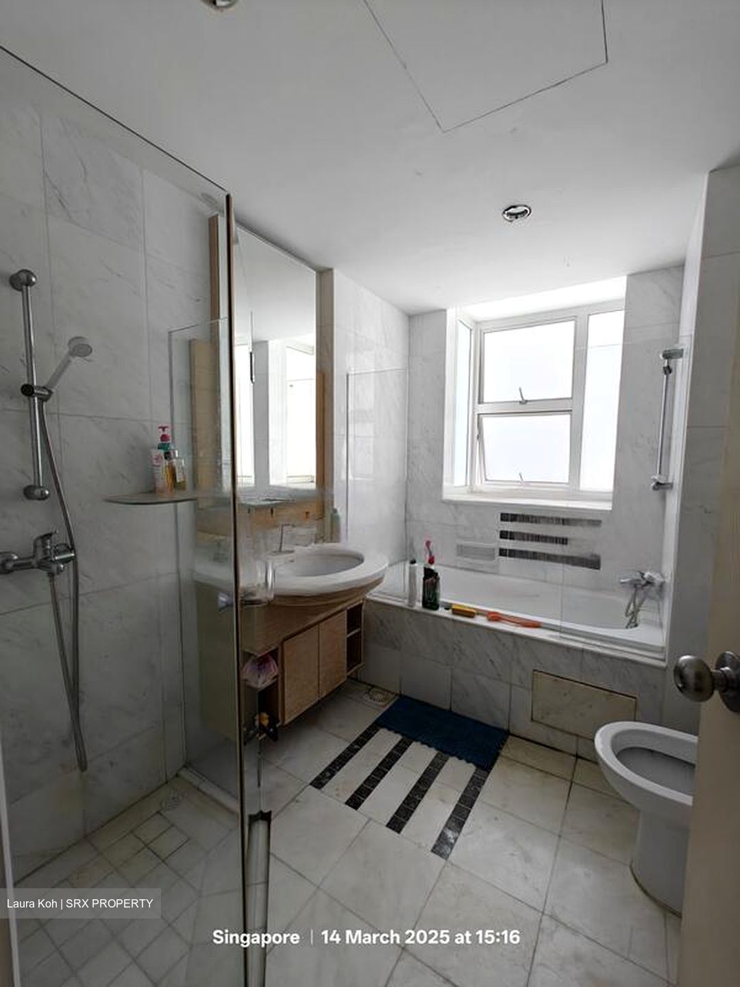 Dahlia Park Condominium (D17), Condominium #455247861